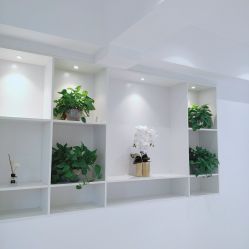 -MIVI半永久纹眉绣眉