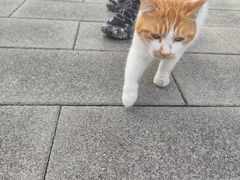 -上海海事大学(临港校区)