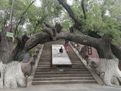 -水磨沟公园