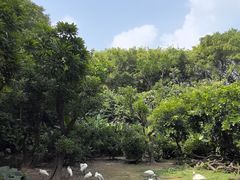 -广州长隆飞鸟乐园