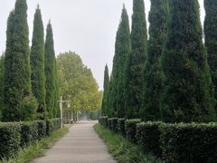 -洛阳市隋唐城遗址植物园