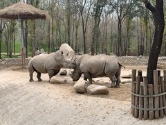 -北京野生动物园