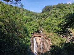 -广州白江湖森林公园