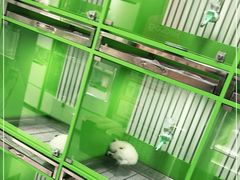 -唐小姐の猫狗洗护·购宠旗舰店(周浦万达店)