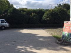 -马陆小张葡萄园农家乐