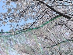 -堤角公园