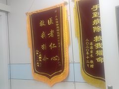 -中农国际动物医院24小时·猫科·骨科·急重症中心