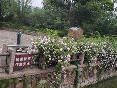 -尚贤河湿地