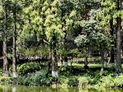 -杭州花家山庄
