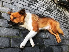 -花园茶楼(兴城西路店)