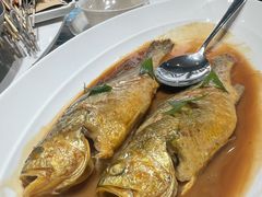 -大锅强·蒸海鲜青岛菜(吾悦广场店)