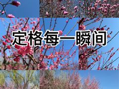 -洛阳市隋唐城遗址植物园