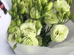 -双季花艺园艺市场(浦东店)