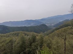 -莫干山风景区