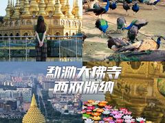 -西双版纳勐泐文化旅游区