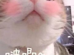 -第戎蛋糕(恒隆广场店)