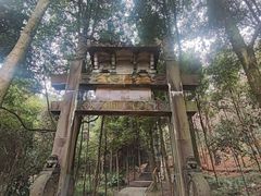 -凤栖山