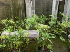 -明谷行馆·温泉