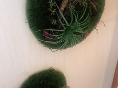 -十二饭点·川菜(北站圆融店)