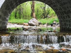 -北京龙庆四季香农家饭庄·灶台鱼·碳烤虹鳟鱼(龙庆峡店)