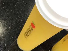 -潮汕良心果汁(金新北路店)
