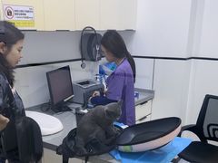 -萌兽医馆·绝育·24小时内科·宠物医院(德胜店)