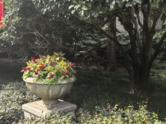 -上海虹桥迎宾馆