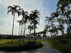 -宝安西湾红树林湿地公园