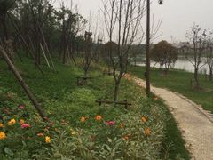 -乌村