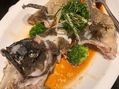 清蒸龙胆鱼-闽和南(深圳万象城店)