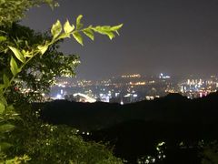 -大金鹰园