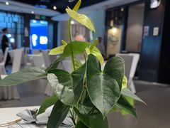 -眉州东坡(华联万柳店)