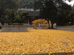 -苏州上方山国家森林公园