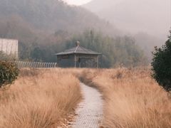 -南京市无想山景区