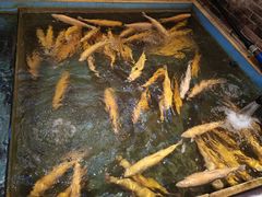 -醉美东江·三文鱼·烧鸡公