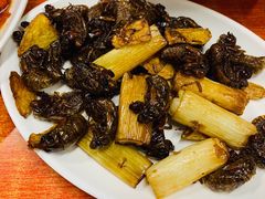 炸知了-回味南塘老王虾尾(总店)