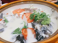 -全乐鱼馆·淳牌有机鱼直营店