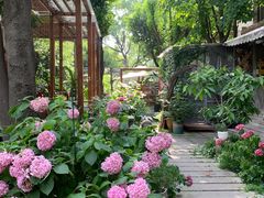 -谷咖啡·鲜花绿植花园餐厅