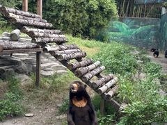 -宁波野生动物园