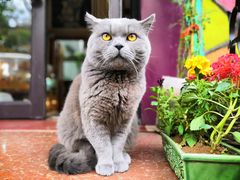 -Rabbit Cafe私房西餐甜点咖啡(栖霞路店)