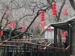 -雨花胜境