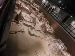 -洛阳周王城天子驾六博物馆