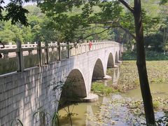 -番禺大夫山森林公园
