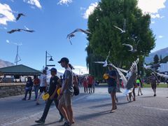 -Patagonia Chocolates(皇后镇店)