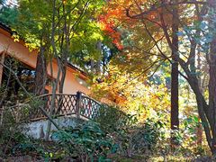 -庐山风景区花径公园