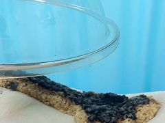 -湖北省中医院(花园山院区)