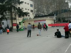 场馆-河南省体育场馆中心游泳馆