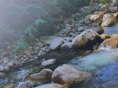 -青峰峡国家森林公园