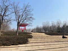 -大望京公园