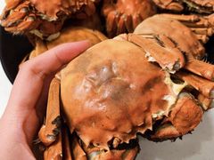 -黄记大闸蟹专卖店·活蟹·醉蟹
